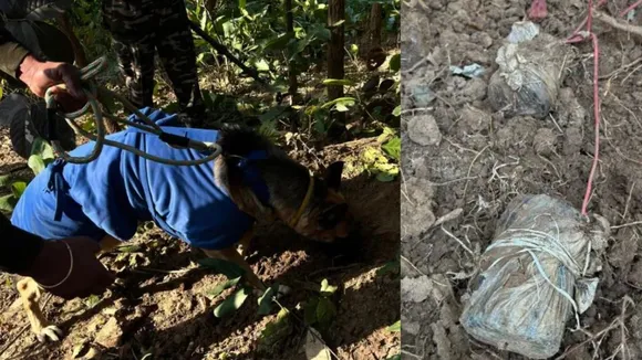 Five cane bombs recovered in Jharkhand