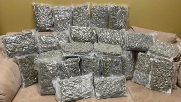 marijuana