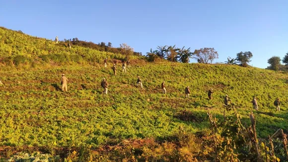 Manipur Police Manipur Poppy Cultivation