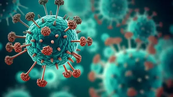 HMPV Virus HMPV Disease