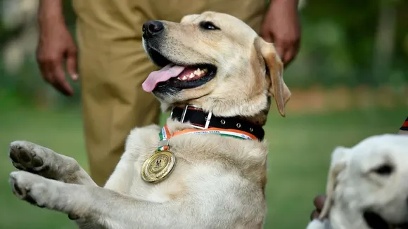 CRPF dogs