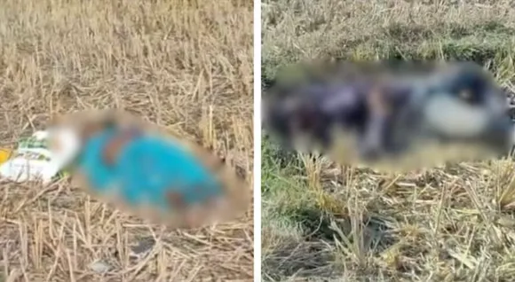 Aaj Tak reporter family murdered in Chhattisgarh's Surajpur