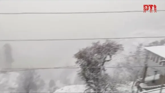 shimla snowfall