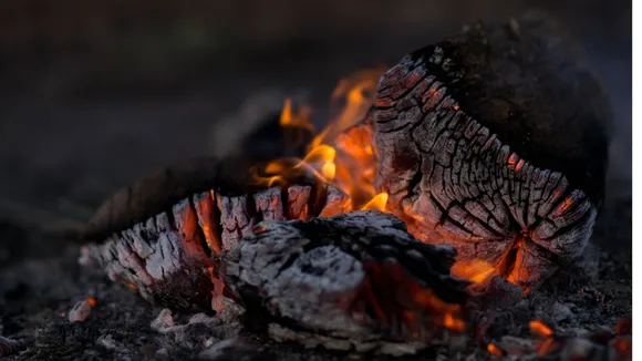 Wood Burning image