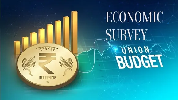 Economic survey image