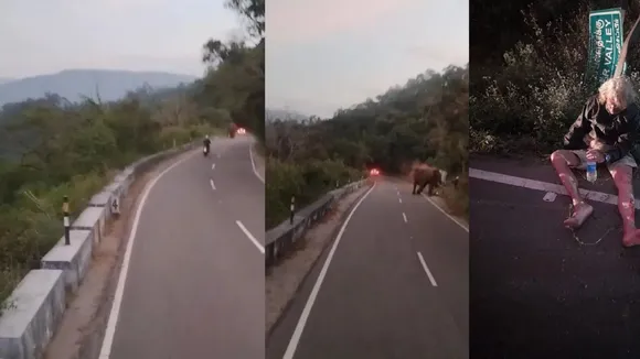German Tourist Elephant Attack