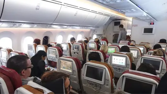 Air passenger image