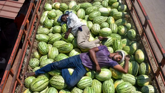 Watermelons Heatwave Hot Weather Summers Sunny Day Delhi Weather