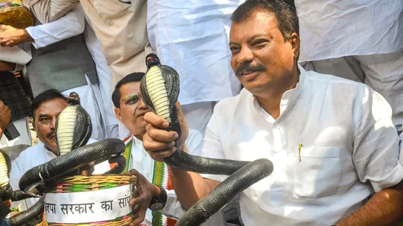 Madhya Pradesh Congress Snake Protest