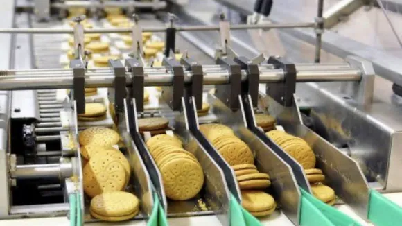 Food Processing Industry Biscuits