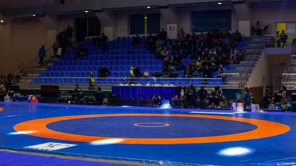 Wrestling turf image 