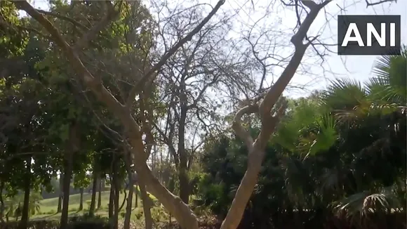 Delhi's deer park