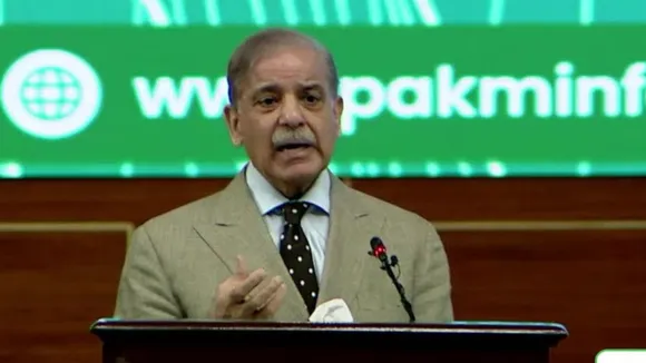 Shehbaz Sharif Pakistan Mineral Deal