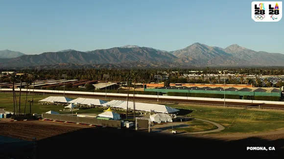 Pomona cricket