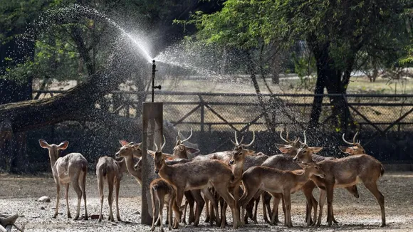 Delhi Deer Park