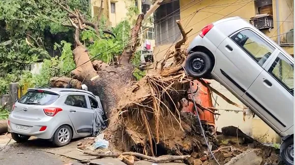 Cars damaged by an uprooted tree after strong winds and heavy rainfall, at Sheikh Sarai area in New Delhi.