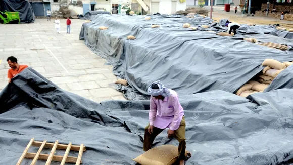 Labourers cover wheat sacks with a tarpaulin sheet at the Sirhind Road Grain Market amid rains, in Patiala.