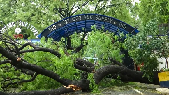 An uprooted tree blocks a road following a thunderstorm and rains at Safdarjung Road, in New Delhi.