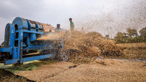 Wheat Harvesting India Pakistan Border Farmers