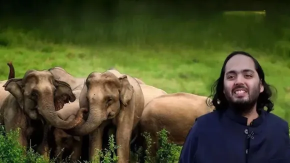 Delhi Zoo Vantara Zoo Anant Ambani