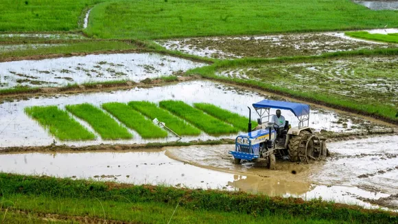 Jharkhand Rains Farmers Agriculture Paddy Cultivation
