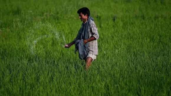 DAP imports from China Urea Fertilisers farmers agriculture PM-KISAN