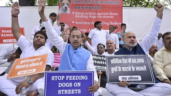 Vijay Goel Stray Dogs