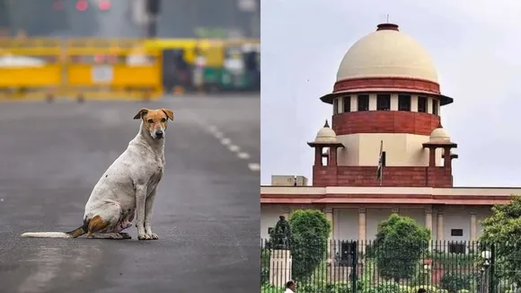 Supreme Court Stray Dogs Ban