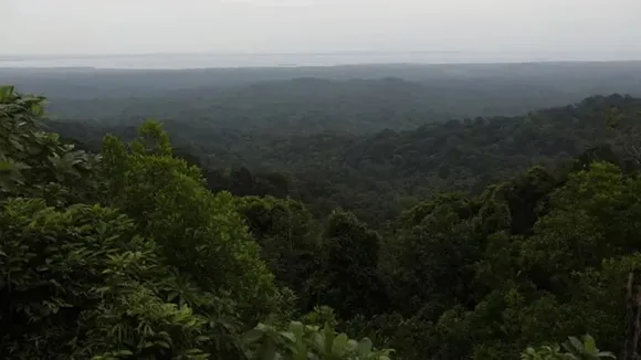 Zudpi jungle Vidarbha Maharashtra