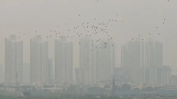 Gurugram Pollution Haryana Weather Haryana Winter