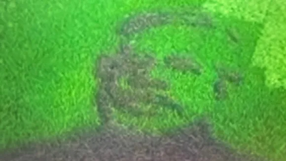 Modi's paddy portrait in Wayanad