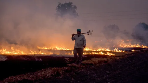 Stubble burning in Punjab Patiala