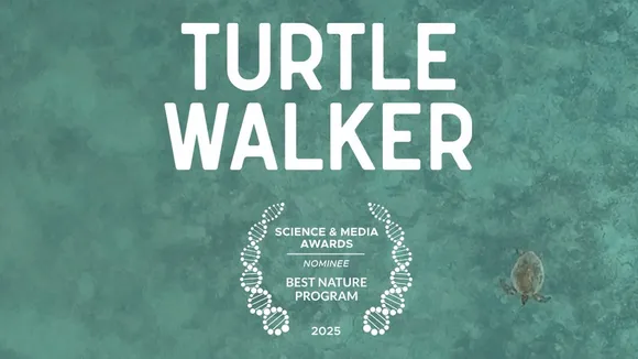 Turtle Walker