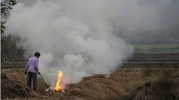 Stubble Burning in Uttar Pradesh