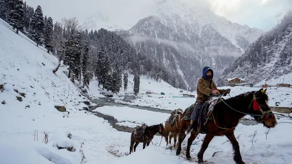 Sonamarg Snowfall Jammu And Kashmir Snowfall