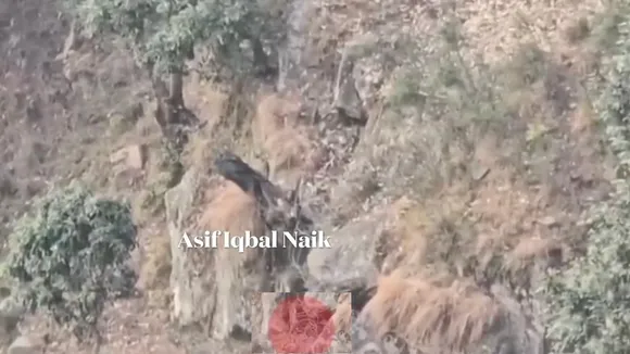 udhampur cave encounter