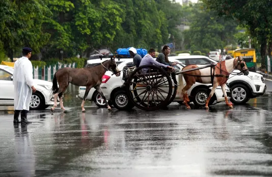 A horse cart seen amid heavy monsoon rains, in New Delhi.jpg