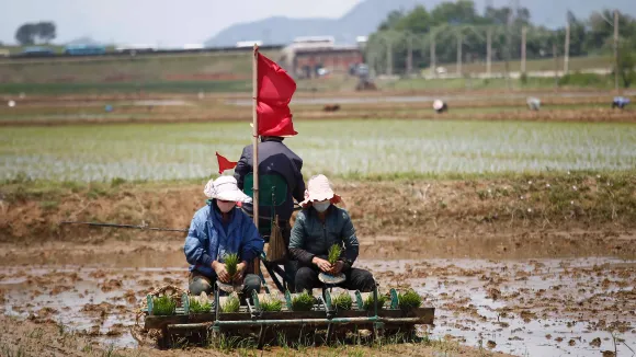 North Korea Food Crisis