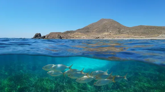 coastal ecosystem.jpg
