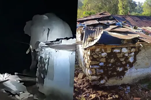 Kerala Elephant