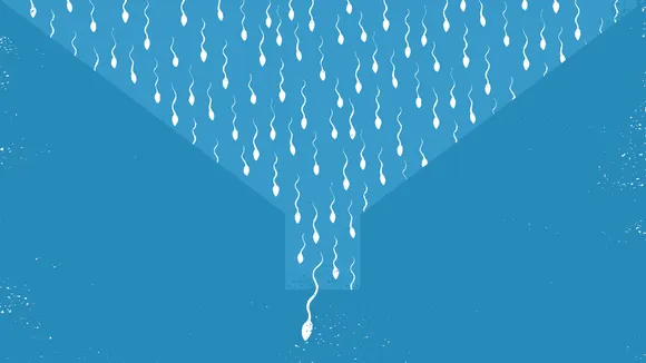 Sperm Count Infertility Reproduction Health