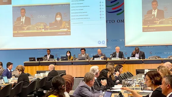 Food security WTO.jpg
