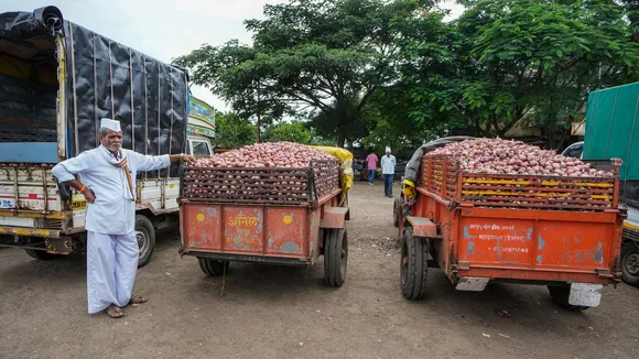 A farmer at Vinchur onion market during farmers and traders’ strike against the central government's decision to impose export duty of 40 per cent on onions till December 31, in Nashik