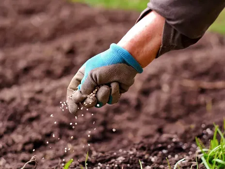 nano fertilisers IFFCO.jpg