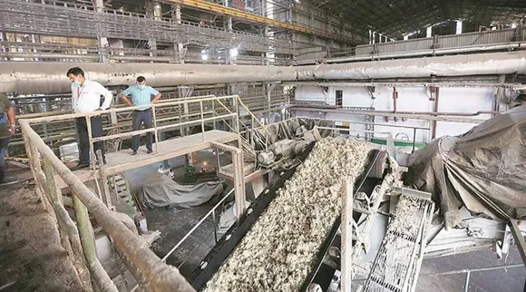 Sugarcane crushing Nov 28.jpg