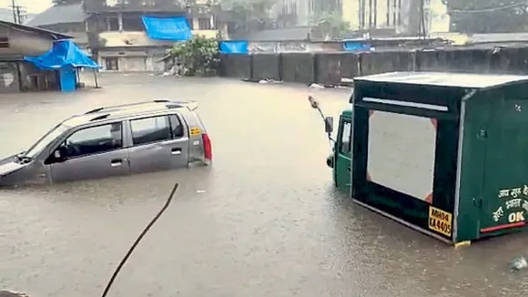 Vidarbha rains