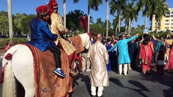 barat horse