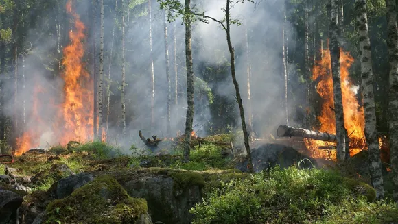 Bushfire asthama.jpg