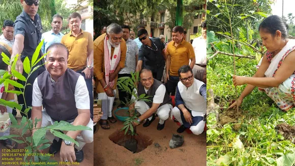 Himanta Biswa Sarma Plants
