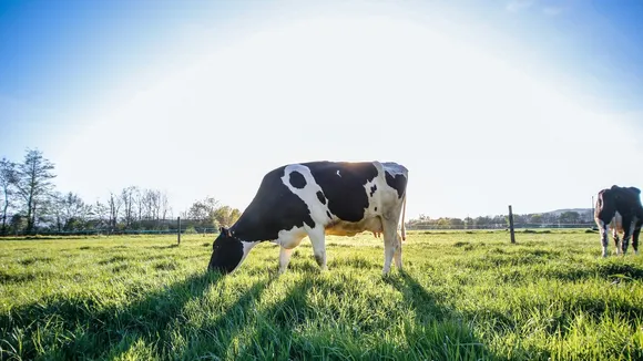 methane emissions COP28.jpg